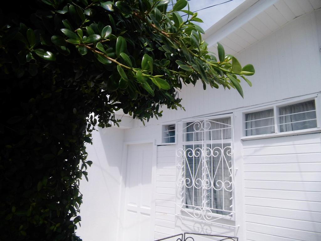 Bight View Hotel San Andres  Bagian luar foto
